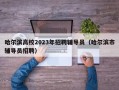 哈尔滨高校2023年招聘辅导员（哈尔滨市辅导员招聘）