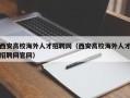 西安高校海外人才招聘网（西安高校海外人才招聘网官网）