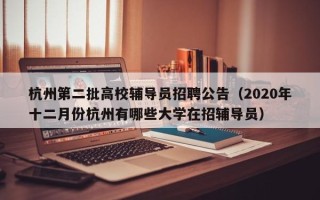 杭州第二批高校辅导员招聘公告（2020年十二月份杭州有哪些大学在招辅导员）