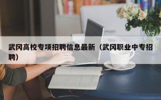 武冈高校专项招聘信息最新（武冈职业中专招聘）