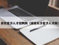 高校星沙人才招聘网（湖南长沙星沙人才网）