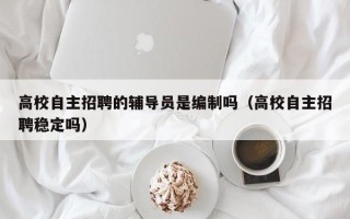 高校自主招聘的辅导员是编制吗（高校自主招聘稳定吗）