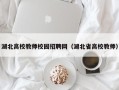湖北高校教师校园招聘网（湖北省高校教师）