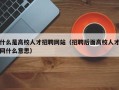 什么是高校人才招聘网站（招聘后面高校人才网什么意思）