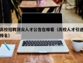 高校招聘顶尖人才公告在哪看（高校人才引进排名）
