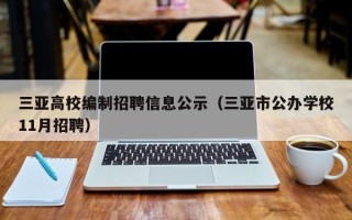 三亚高校编制招聘信息公示（三亚市公办学校11月招聘）