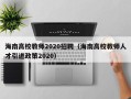海南高校教师2020招聘（海南高校教师人才引进政策2020）