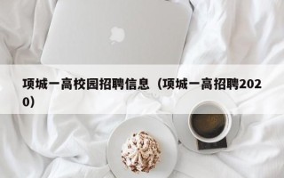 项城一高校园招聘信息（项城一高招聘2020）