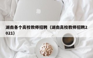 湖南各个高校教师招聘（湖南高校教师招聘2021）