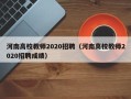 河南高校教师2020招聘（河南高校教师2020招聘成绩）