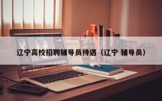 辽宁高校招聘辅导员待遇（辽宁 辅导员）
