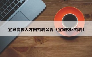 宜宾高校人才网招聘公告（宜宾校区招聘）