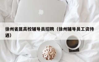 徐州省属高校辅导员招聘（徐州辅导员工资待遇）