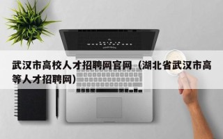 武汉市高校人才招聘网官网（湖北省武汉市高等人才招聘网）