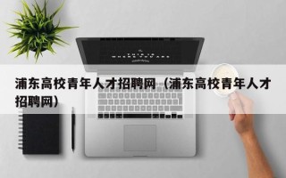 浦东高校青年人才招聘网（浦东高校青年人才招聘网）