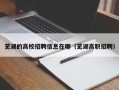 芜湖的高校招聘信息在哪（芜湖高职招聘）