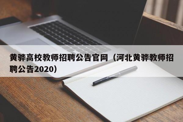 黄骅高校教师招聘公告官网（河北黄骅教师招聘公告2020）-第1张图片-高校招聘网