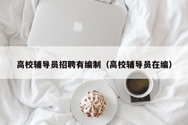 高校辅导员招聘有编制（高校辅导员在编）-第1张图片-高校招聘网